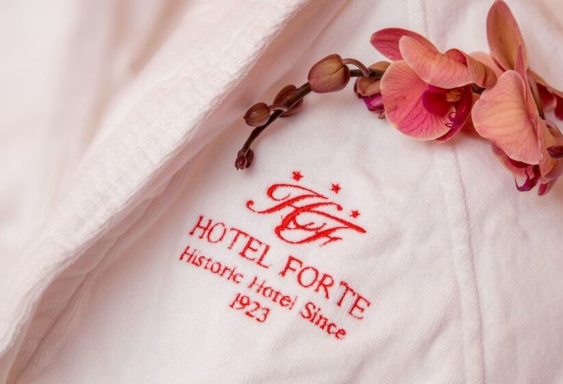 חדר סטנדרט יחיד, Forte