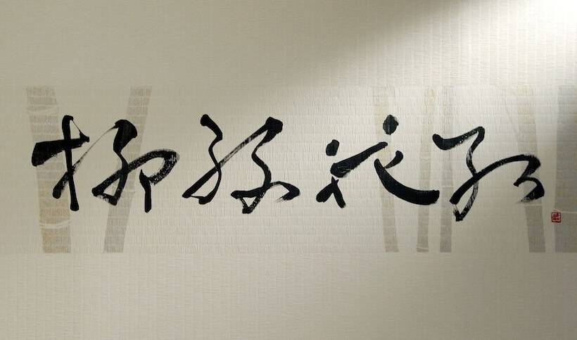 디럭스 룸, Hilton Tokyo Narita Airport