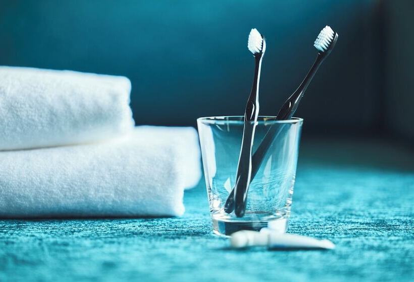 غرفة قياسية, Holiday Inn Kyoto Gojo