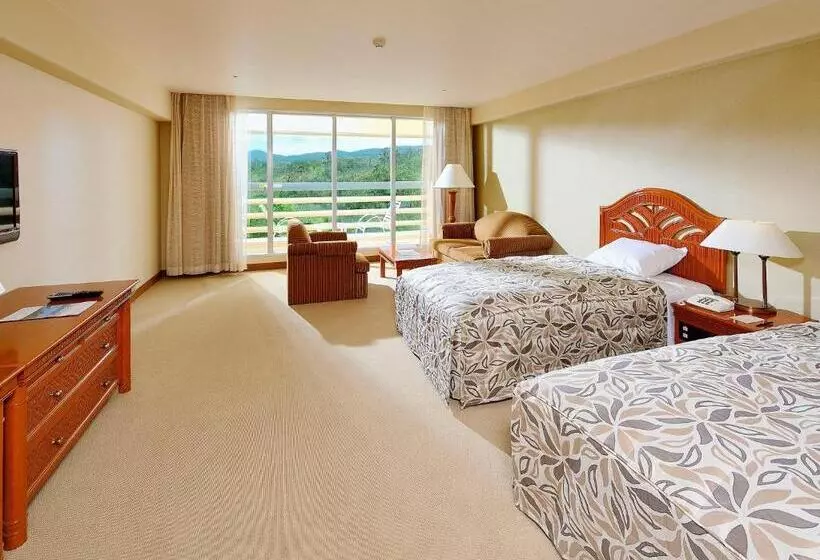 ガーデンビューデラックスルーム, Rizzan Sea Park Hotel Tancha Bay