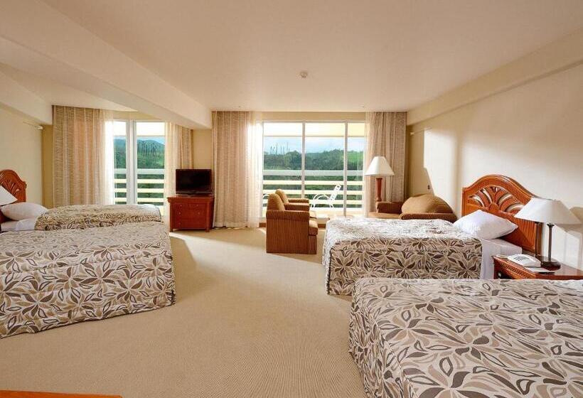 스탠다드 룸 가든 전망, Rizzan Sea Park Hotel Tancha Bay