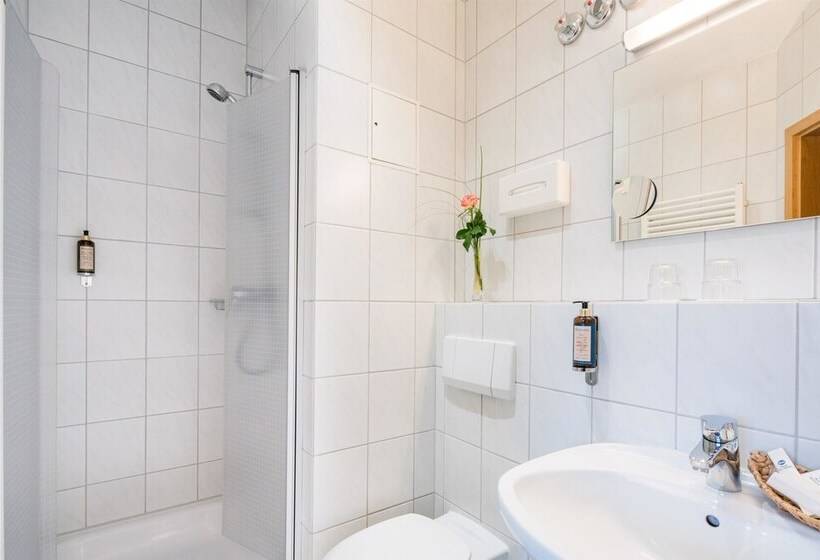 Номер Стандарт, Best Western Blankenburg