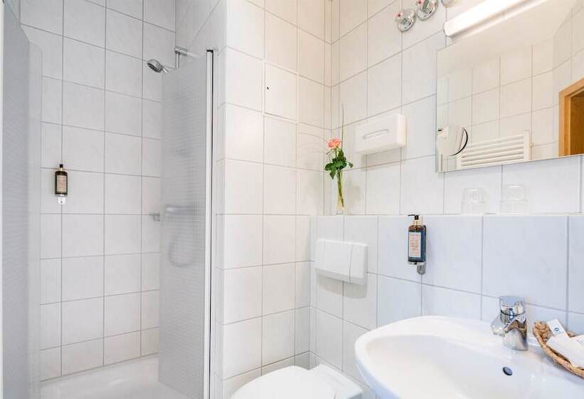 Номер Стандарт, Best Western Blankenburg