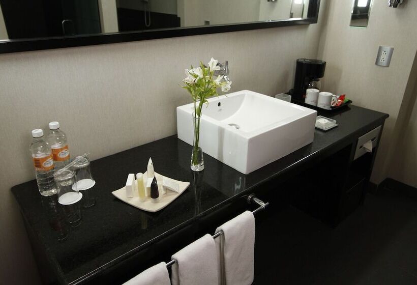 スタンダードルーム, Crowne Plaza Toluca   Lancaster, An Ihg