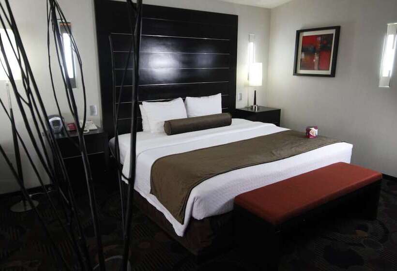 ジュニアスイート, Crowne Plaza Toluca   Lancaster, An Ihg