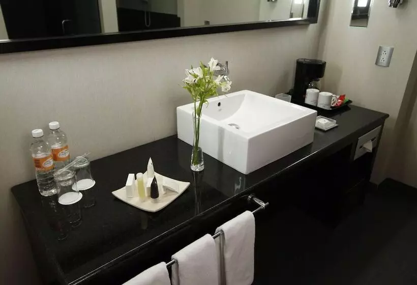 ジュニアスイート, Crowne Plaza Toluca   Lancaster, An Ihg