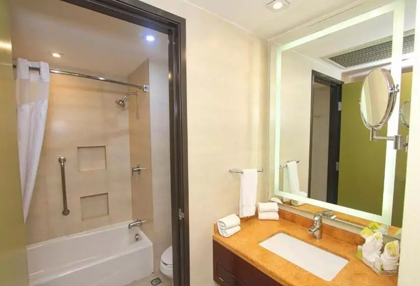 اتاق استاندارد, Holiday Inn Leon, An Ihg