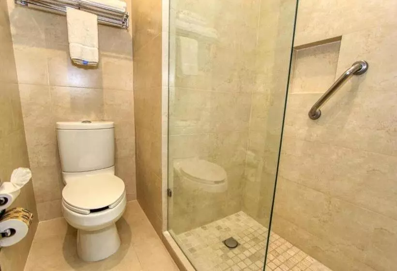 اتاق استاندارد با تخت بزرگ, Holiday Inn Leon, An Ihg
