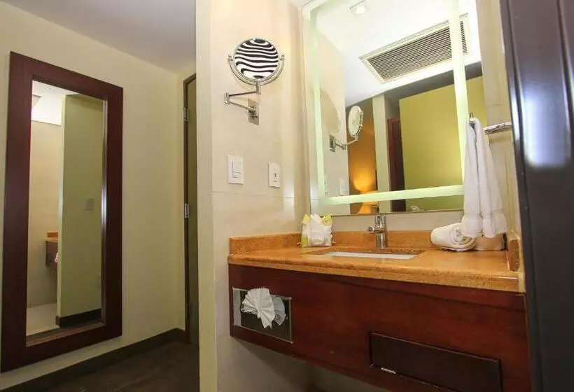 اتاق استاندارد با تخت بزرگ, Holiday Inn Leon, An Ihg