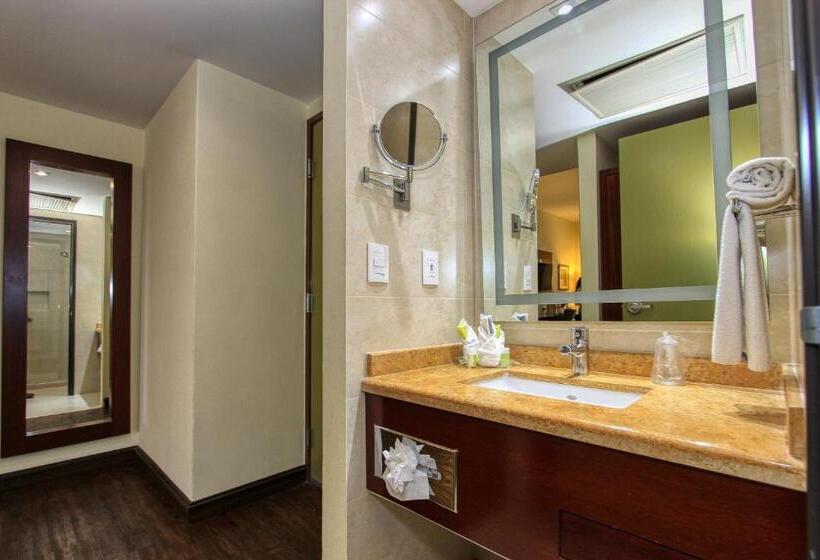 キングサイズベッドのスタンダードルーム, Holiday Inn Leon, An Ihg