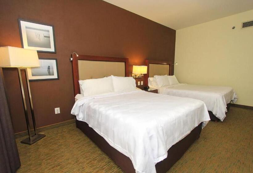 ２ダブルベッドのスタンダードルーム, Holiday Inn Leon, An Ihg