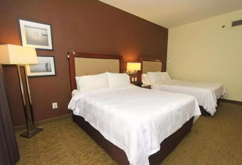 اتاق استاندارد با 2 تخت دوبل, Holiday Inn Leon, An Ihg