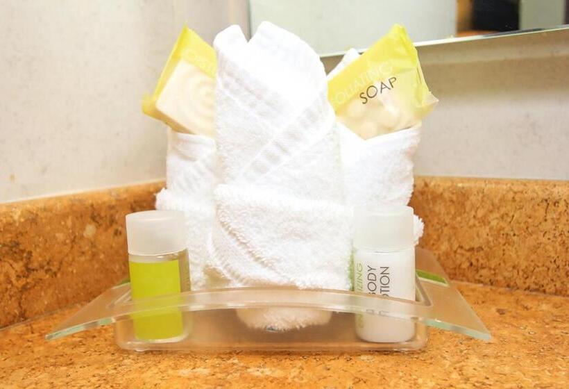 ２ダブルベッドのスタンダードルーム, Holiday Inn Leon, An Ihg