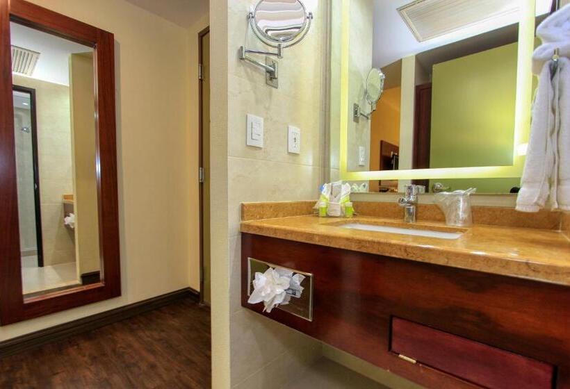 غرفه قياسيه سريرين مزدوجين, Holiday Inn Leon, An Ihg