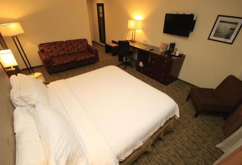 身障者適用スタンダードルーム, Holiday Inn Leon, An Ihg