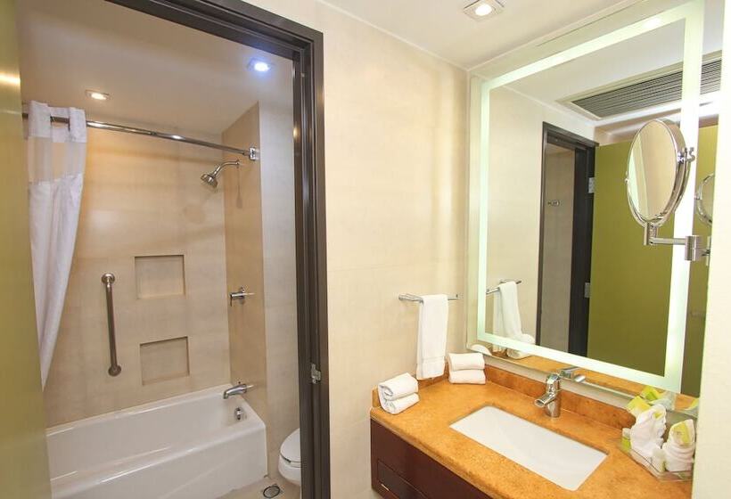 スタンダードルーム, Holiday Inn Leon, An Ihg