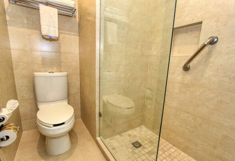 غرفة قياسية, Holiday Inn Leon, An Ihg