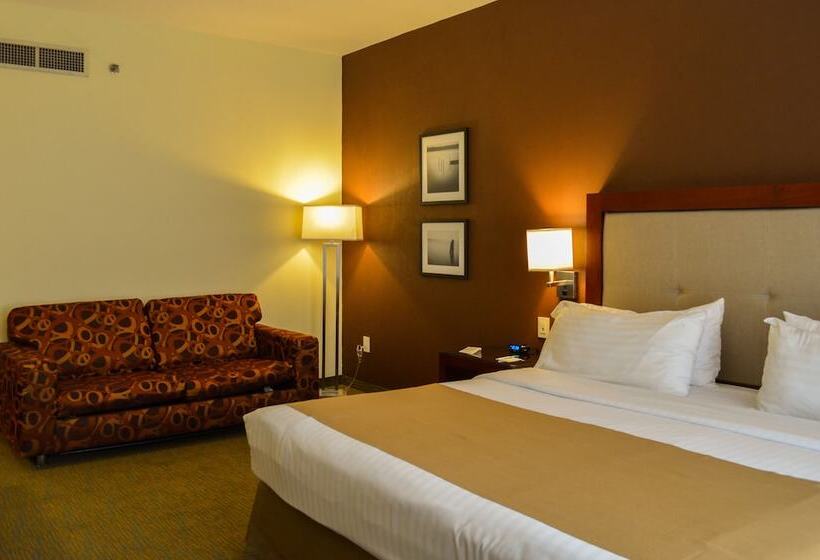 غرفة قياسية, Holiday Inn Leon, An Ihg