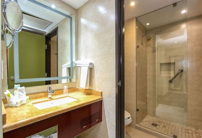 ２ダブルベッドのスタンダードルーム, Holiday Inn Leon, An Ihg