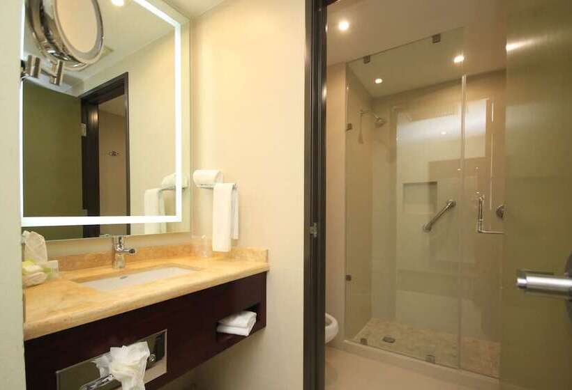 غرفه قياسيه سريرين مزدوجين, Holiday Inn Leon, An Ihg