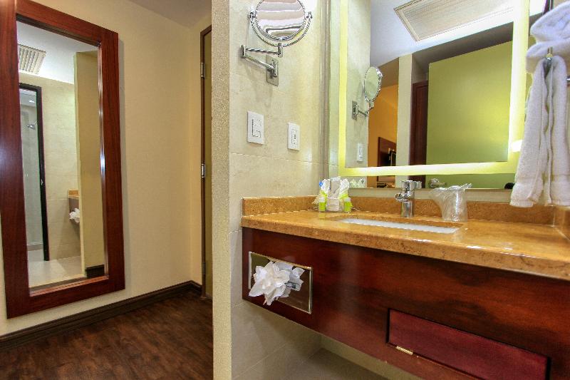 غرفة قياسية, Holiday Inn Leon, An Ihg