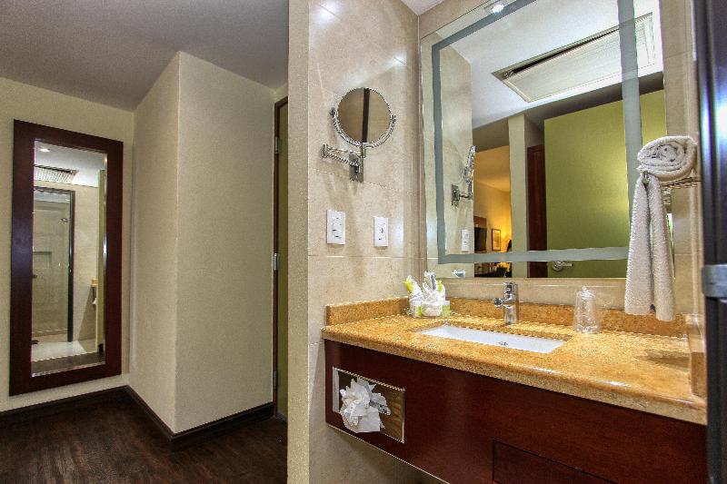 キングサイズベッドのスタンダードルーム, Holiday Inn Leon, An Ihg