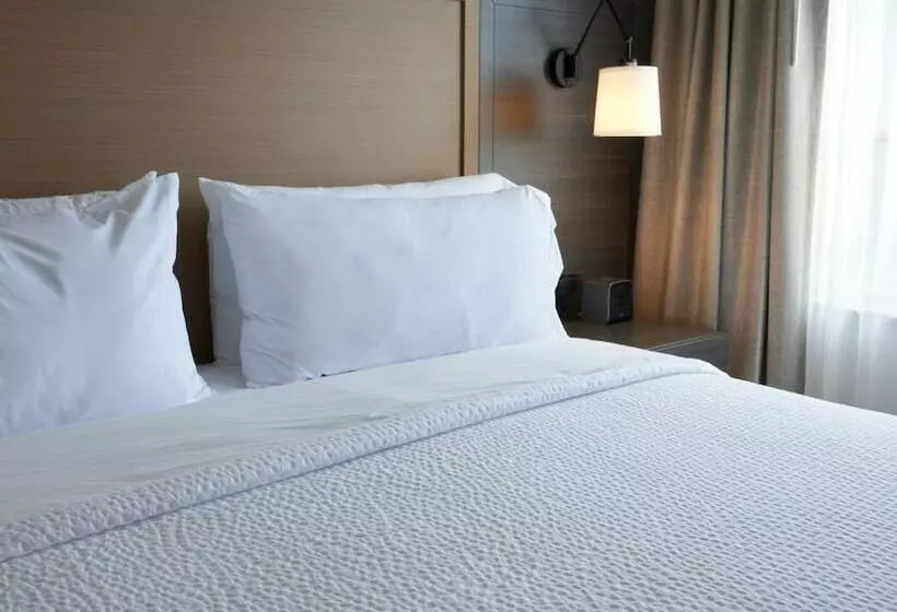 プレミアムルーム, Holiday Inn & Suites Ottawa Kanata, An Ihg