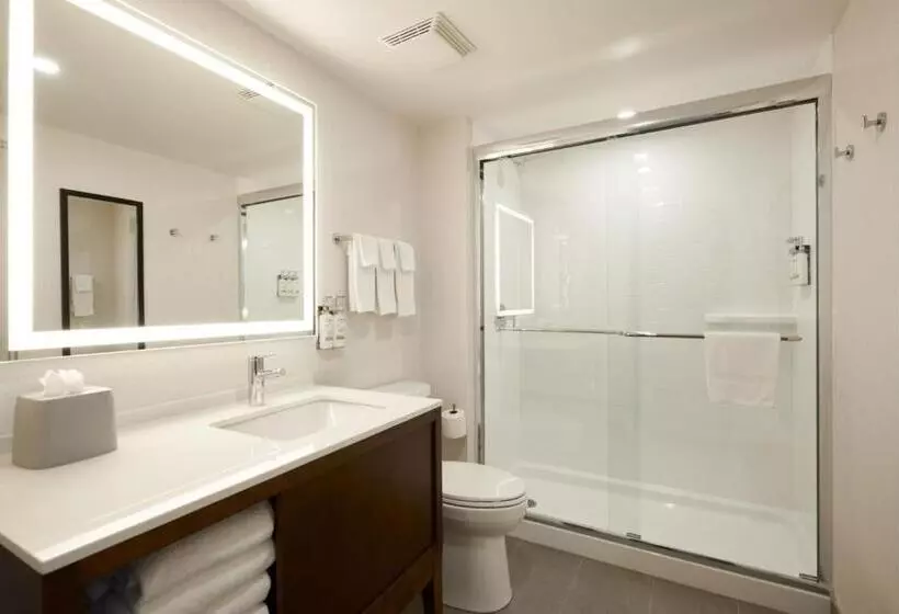 キングサイズベッドのスイートルーム, Holiday Inn & Suites Ottawa Kanata, An Ihg