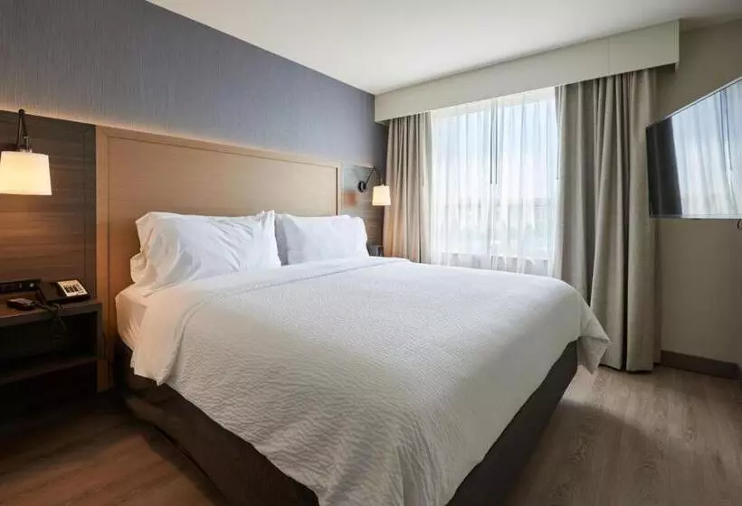 キングサイズベッドのスイートルーム, Holiday Inn & Suites Ottawa Kanata, An Ihg