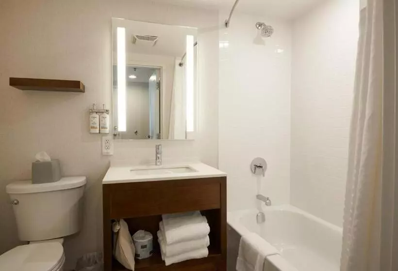 スタンダードルーム, Holiday Inn & Suites Ottawa Kanata, An Ihg