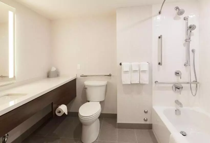 身障者適用キングサイズベッドルーム, Holiday Inn & Suites Ottawa Kanata, An Ihg