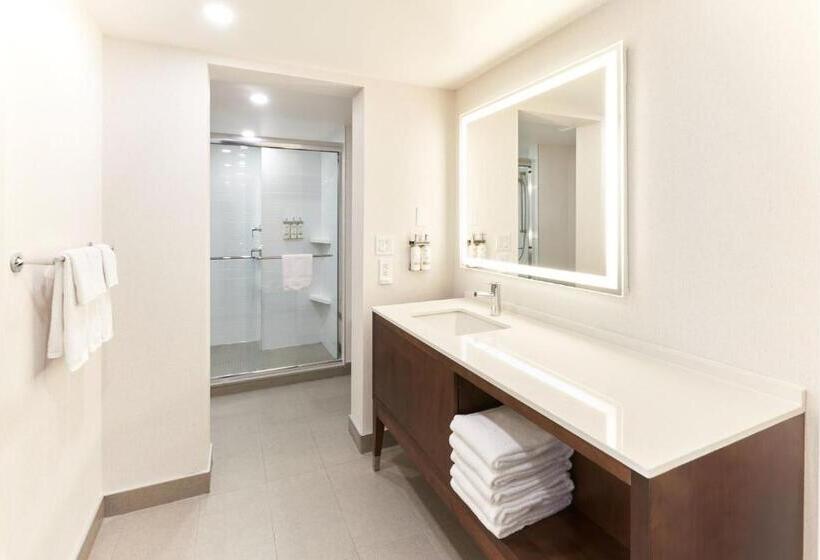 带大床的套房, Holiday Inn & Suites Ottawa Kanata, An Ihg