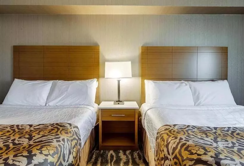اتاق استاندارد, Monte Carlo Inn Brampton