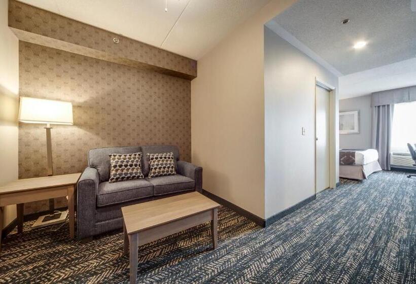 带大床的套房, Monte Carlo Inn Brampton