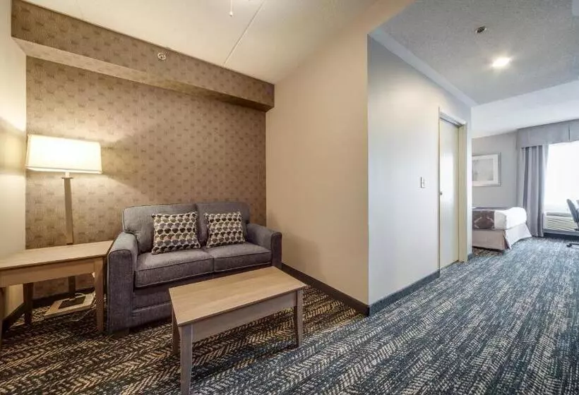 سوئیت با تخت بزرگ, Monte Carlo Inn Brampton