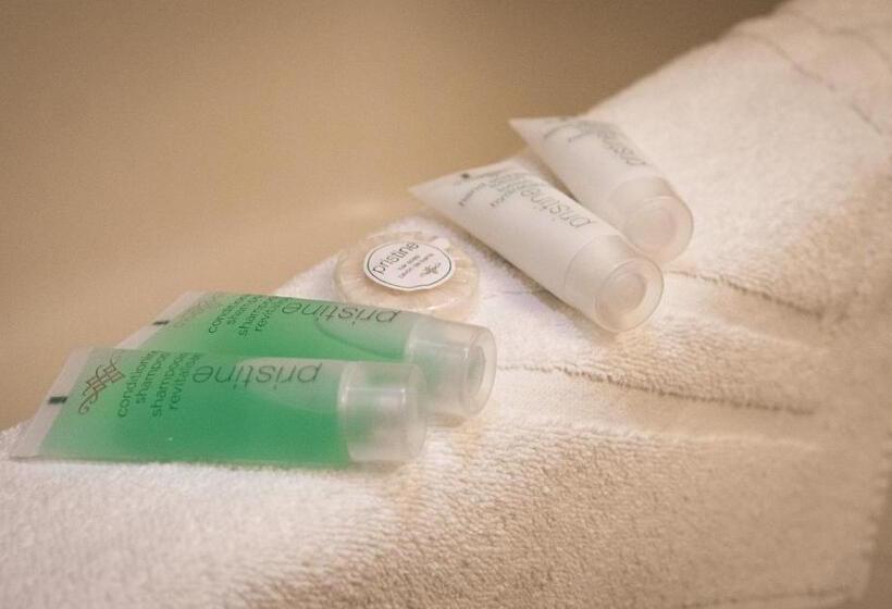 스탠다드 룸 산 전망, Mountain View Inn