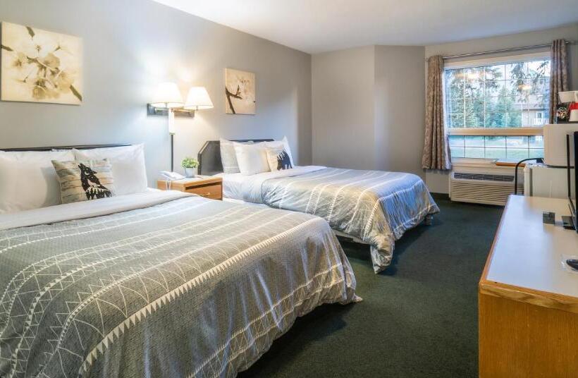 스탠다드 룸 산 전망, Mountain View Inn