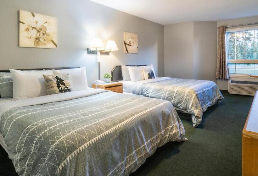 エコノミールーム, Mountain View Inn