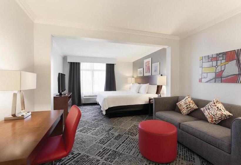 장애인을 위한 킹사이즈 침대 스탠다드 룸, Radisson Hotel Dallas North Addison