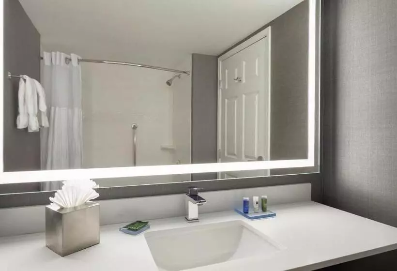 اتاق استاندارد برای معلولان, Radisson Hotel Dallas North Addison