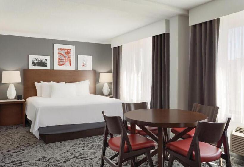 스탠다드 스튜디오 킹침대, Radisson Hotel Dallas North Addison