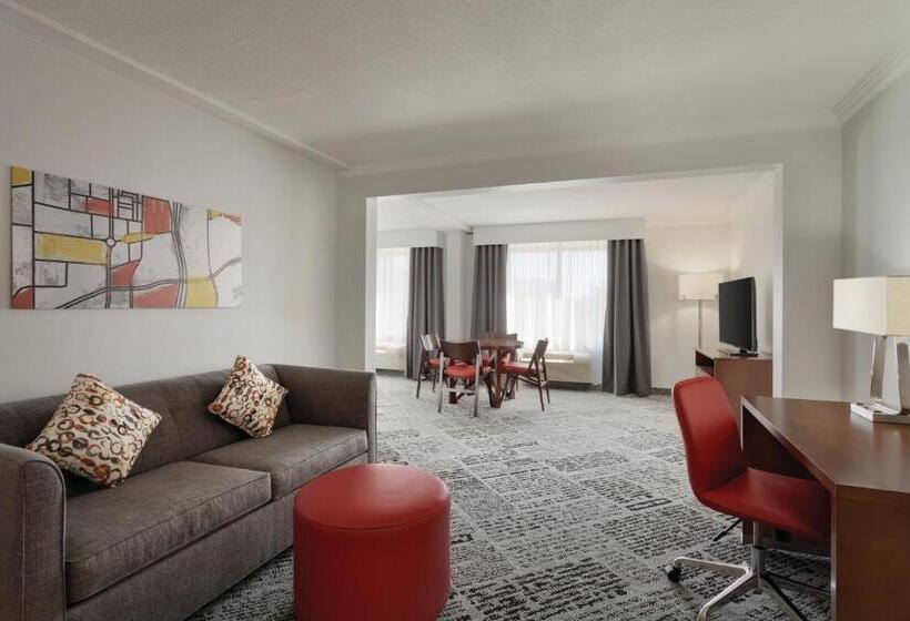디럭스 스위트 킹 침대, Radisson Hotel Dallas North Addison