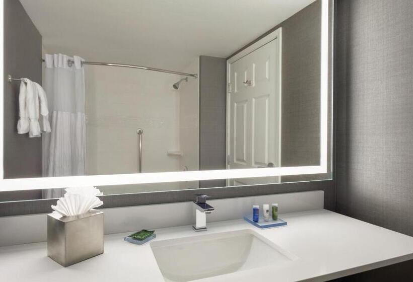 جناح ديلوكس سرير كينج, Radisson Hotel Dallas North Addison