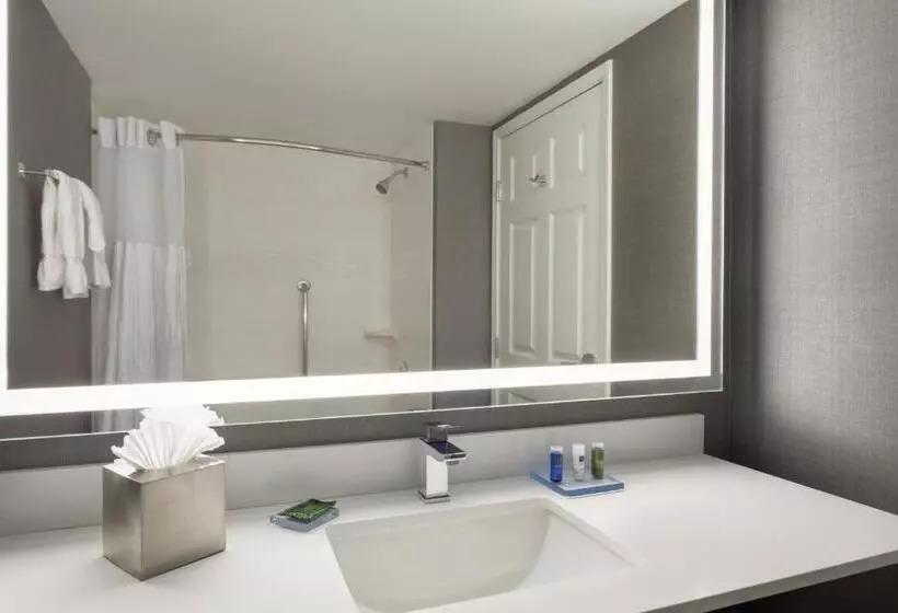 Deluxe Suite King Bed, Radisson Hotel Dallas North Addison