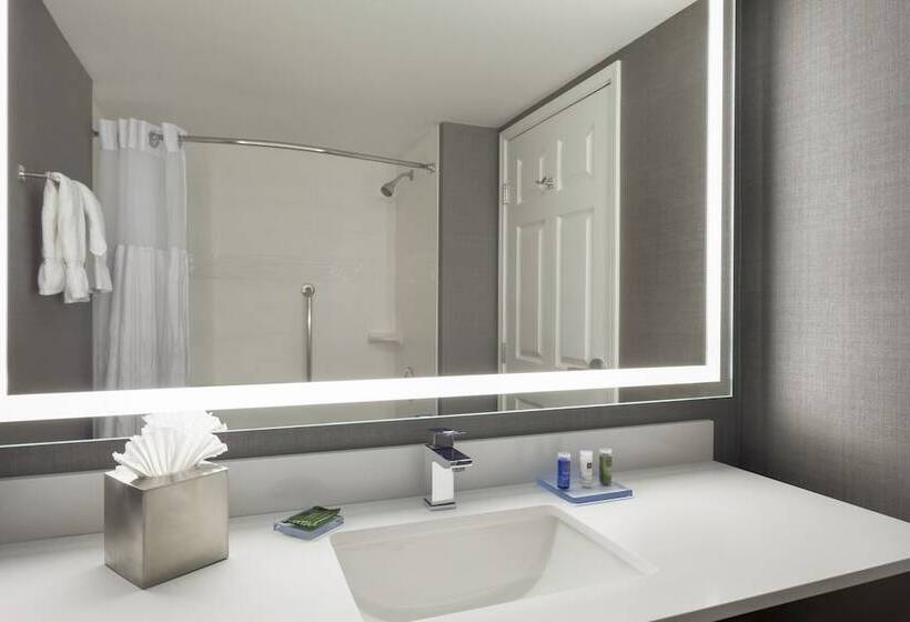 غرفة بيزنس, Radisson Hotel Dallas North Addison