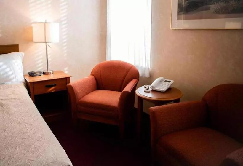 キングサイズベッドのスタンダードルーム, Royal Inn & Suites