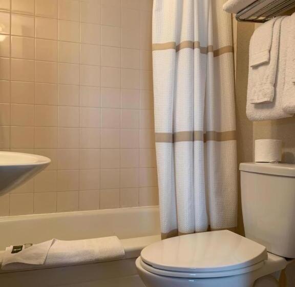 豪华房间, Royal Inn & Suites