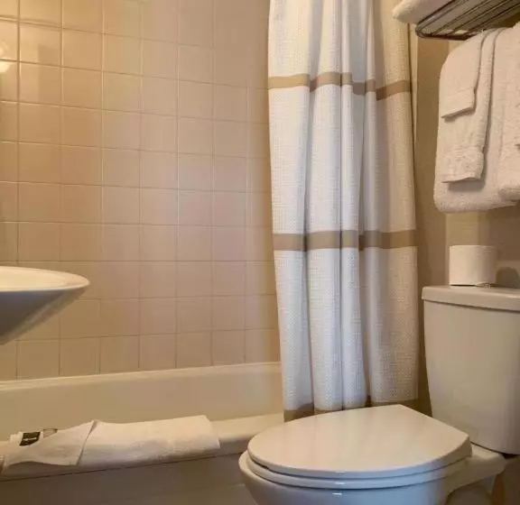 デラックスルーム, Royal Inn & Suites