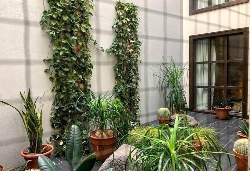 اتاق استاندارد با 2 تخت دوبل, Sainteanne