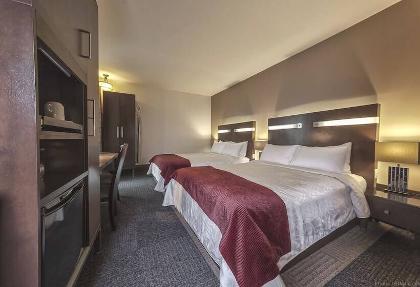 اتاق استاندارد با 2 تخت دوبل, Sainteanne